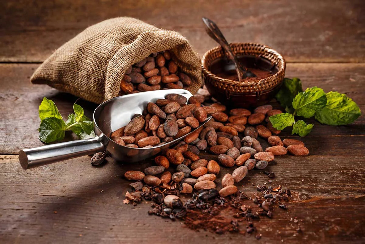 Single-origin cocoa beans at Atelier du Chocolat farm source representing our French artisan chocolate heritage and craftsmanship